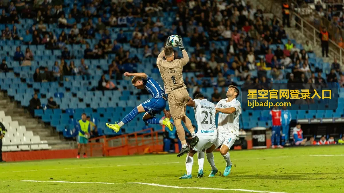星空官网登录入口电脑端访问界面示意