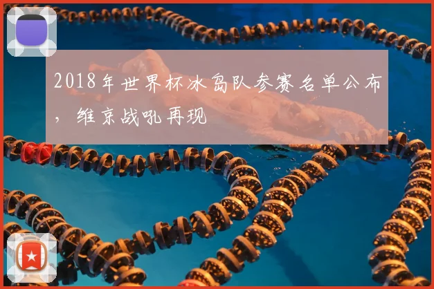 2018年世界杯冰岛队参赛名单公布,维京战吼再现