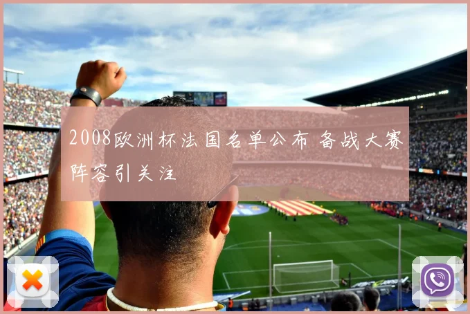 2008欧洲杯法国名单公布 备战大赛阵容引关注