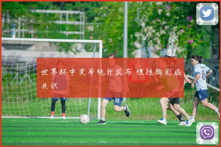 世界杯中奖率统计发布 理性购彩成共识
