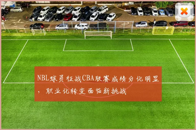 NBL球员征战CBA联赛成绩分化明显，职业化转变面临新挑战