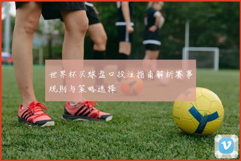 世界杯买球盘口投注指南解析赛事规则与策略选择
