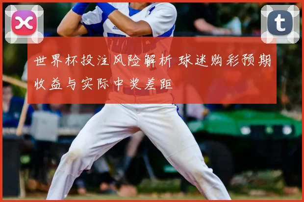 世界杯投注风险解析 球迷购彩预期收益与实际中奖差距