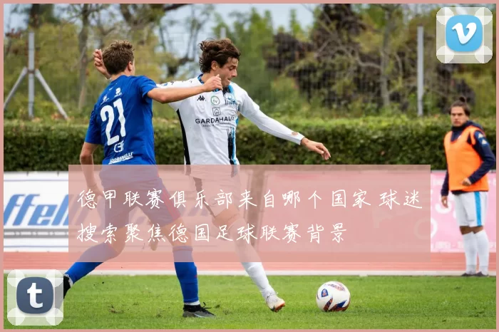 德甲联赛俱乐部来自哪个国家 球迷搜索聚焦德国足球联赛背景