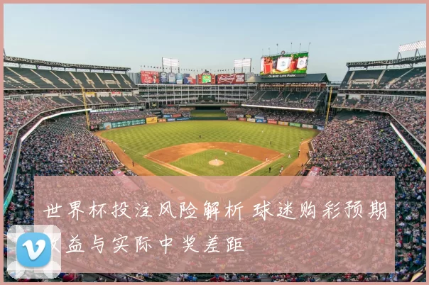 世界杯投注风险解析 球迷购彩预期收益与实际中奖差距