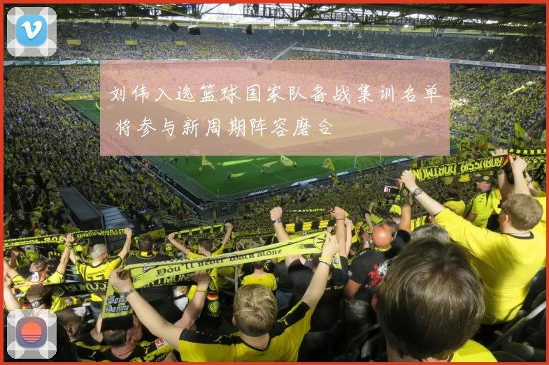 刘伟入选篮球国家队备战集训名单 将参与新周期阵容磨合